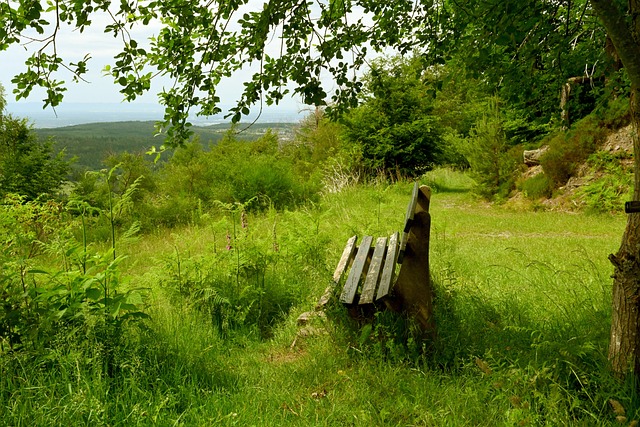 每次训练 每次训练