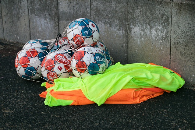 用智慧和勇 用智慧和勇