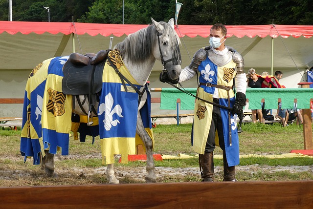 说明合理的 说明合理的