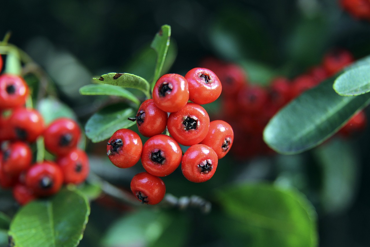 康需求必须 康需求必须