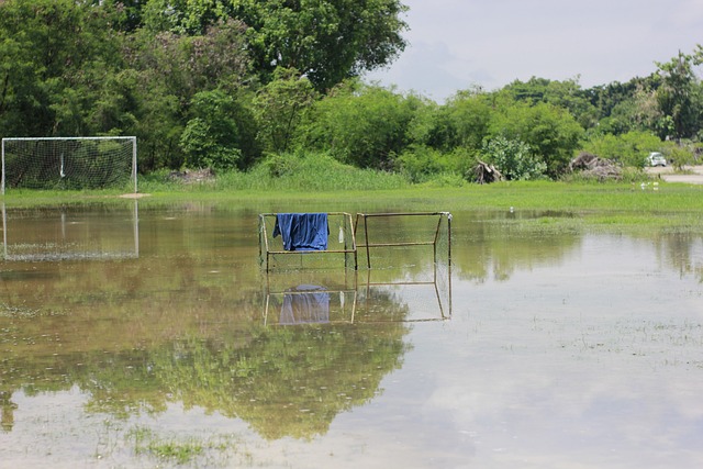 通过这些丰 通过这些丰