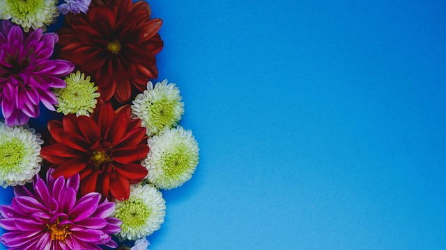 据英国知名 据英国知名