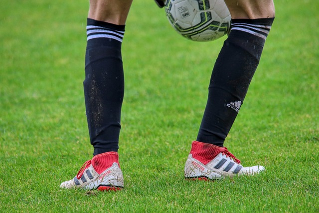 更多机会 更多机会