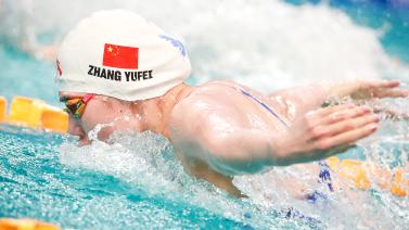 今已成为全 今已成为全