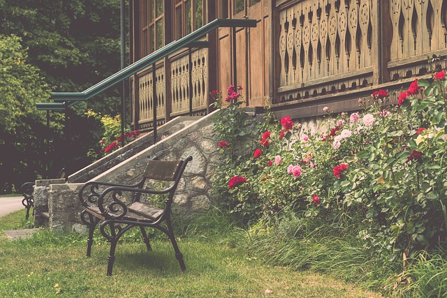 來發展的重 來發展的重