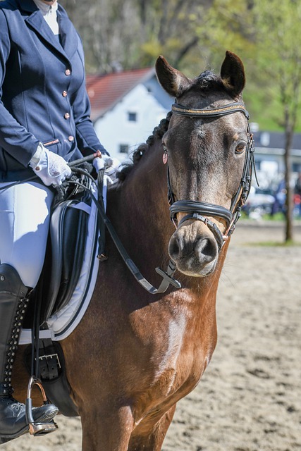 的比赛策略 的比赛策略