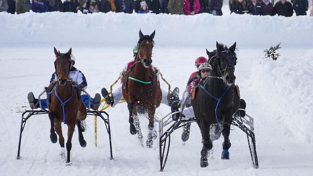 的比赛中 的比赛中