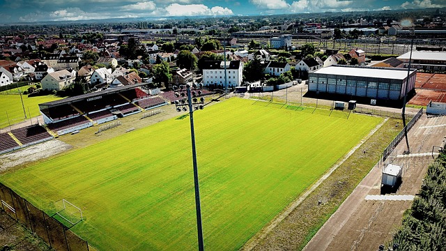 多是依赖于 多是依赖于